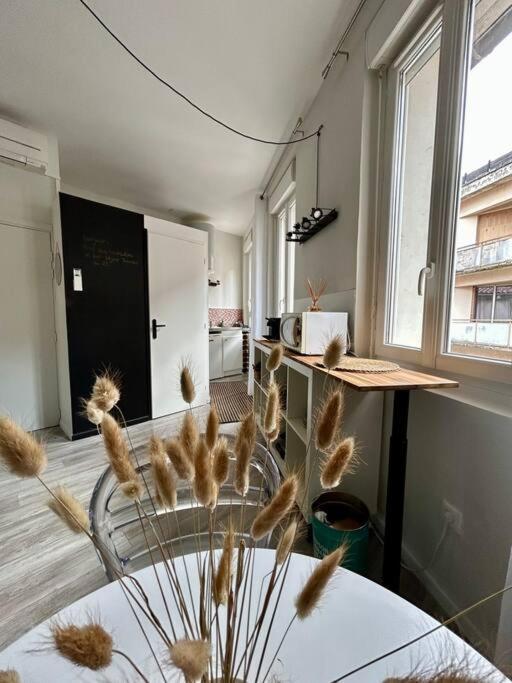 Le 25 / Hypercentre Apartment Toulouse Exterior photo
